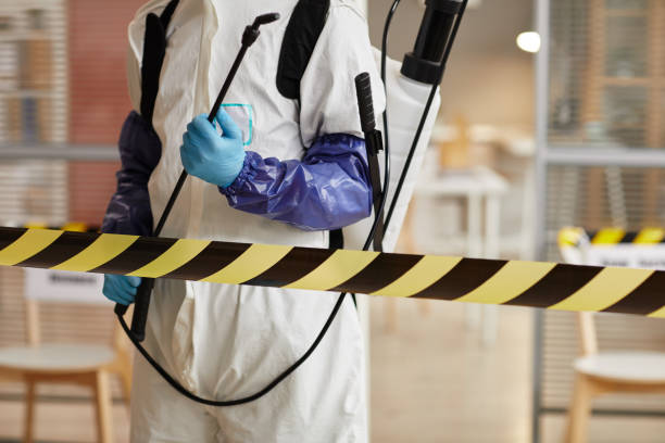 Professional Sewage Cleanup technician working in East Hampton, NY